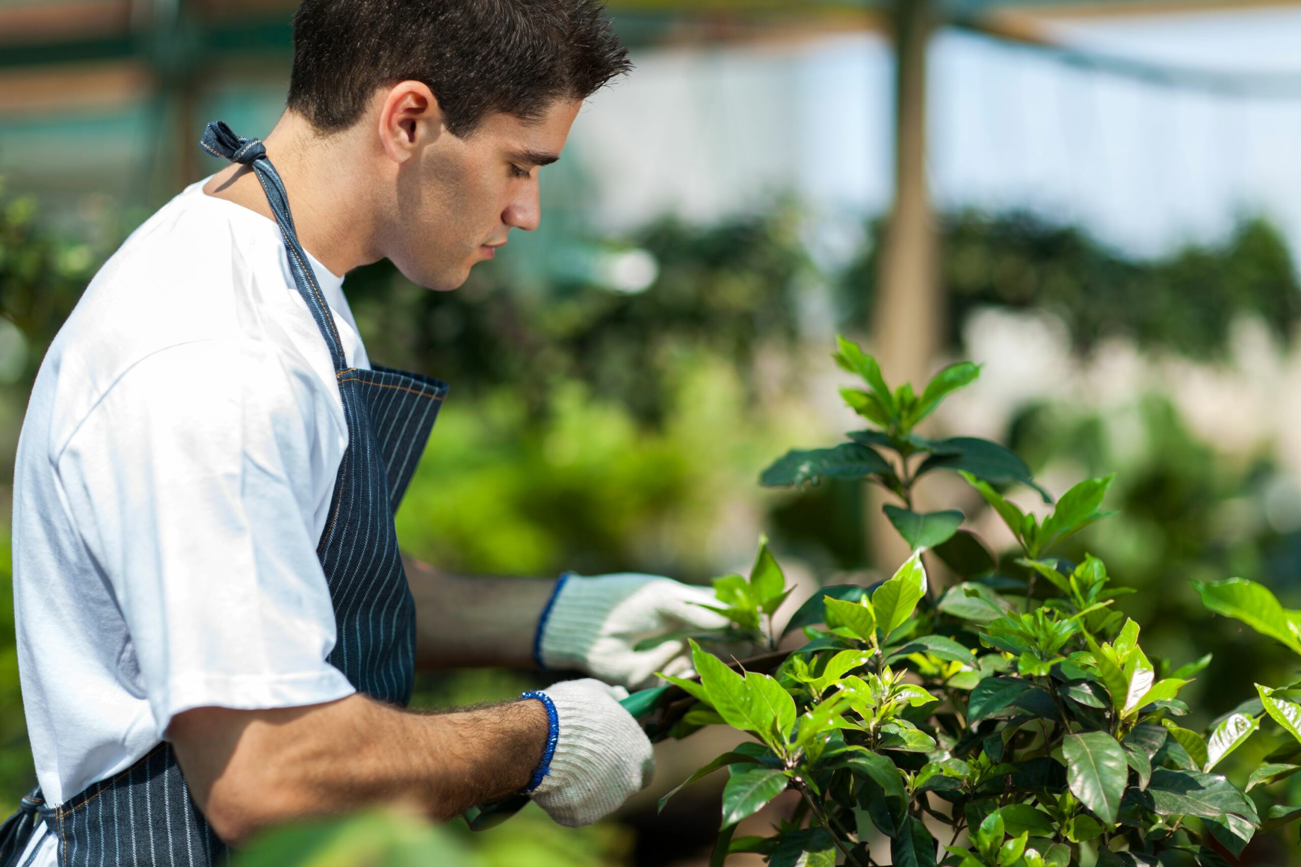 Muskelaufbau durch Gartenarbeit